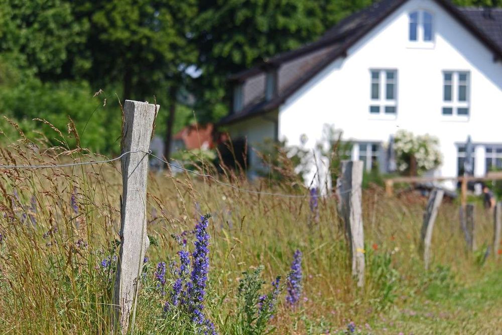 Grundstück mit alten Holzpfosten und hohem Gras