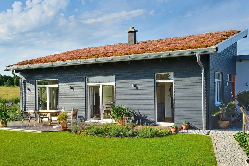 Moderner Bungalow mit Pultdach, Garten und Terrasse