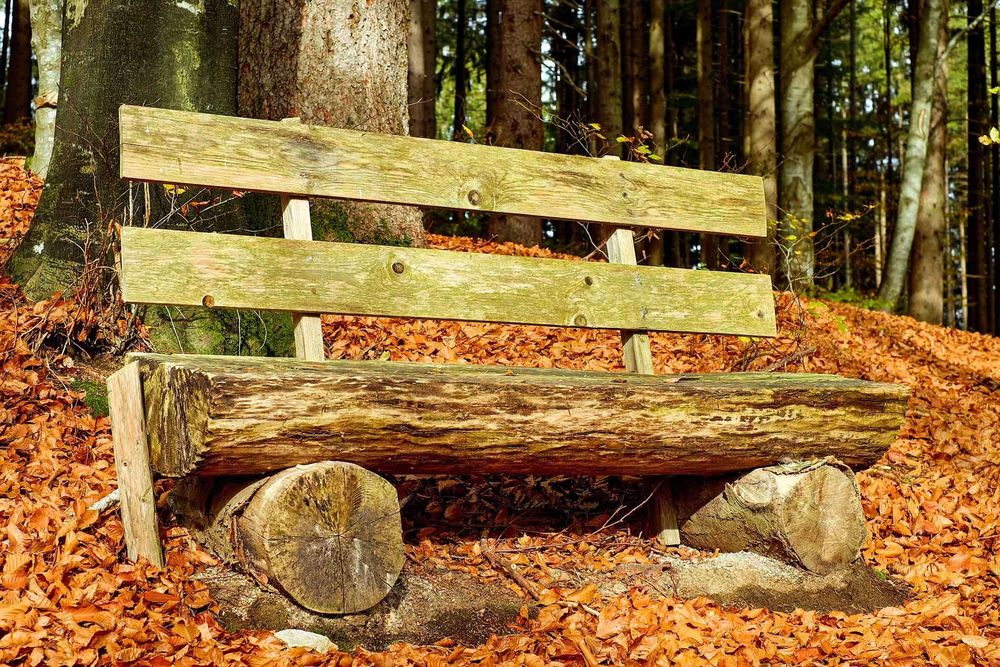 Holzbank aus Rundstämmen und Brettern.