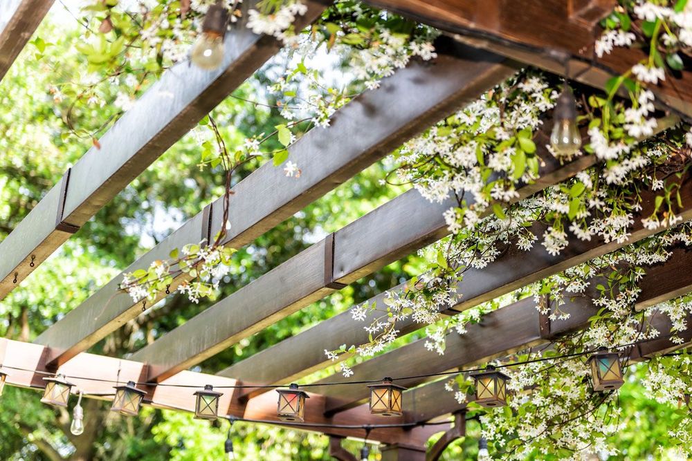 Bewachsene Pergola über der Terrasse