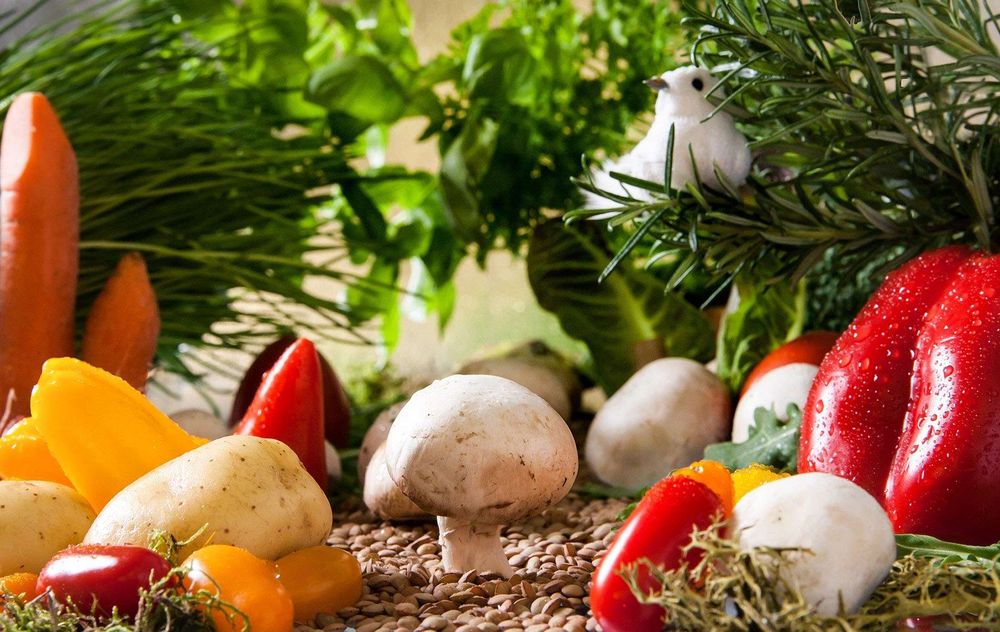 Champignons, Tomaten, Paprika, Möhren, Kräuter und Salat aus eigenem Anbau