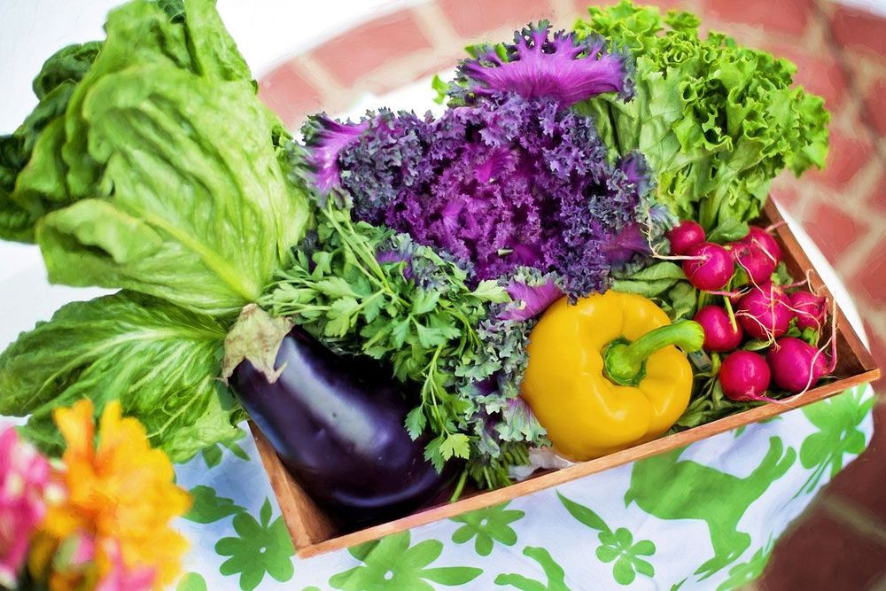 Kleine Box mit Gemüse aus dem eigenen Gemüsegarten